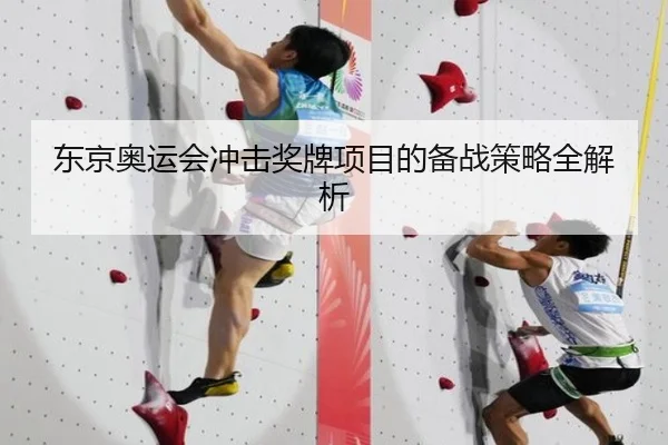东京奥运会冲击奖牌项目的备战策略全解析